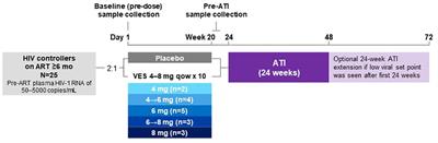 Circulating immune and plasma biomarkers of time to HIV rebound in HIV controllers treated with vesatolimod